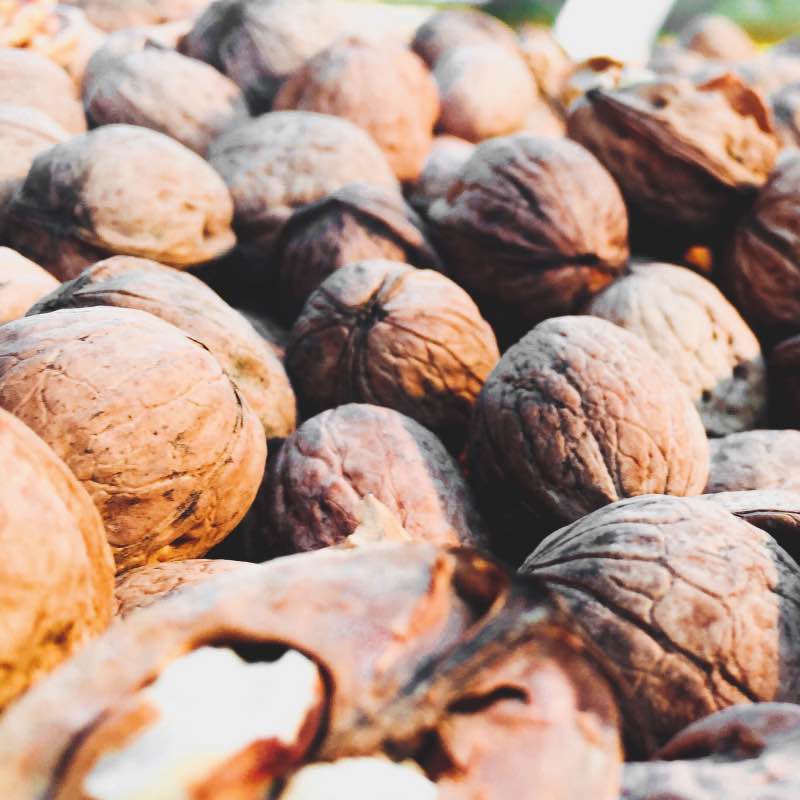 Noyer Franquette Juglans Regia Bio - Noix Bio du Périgord